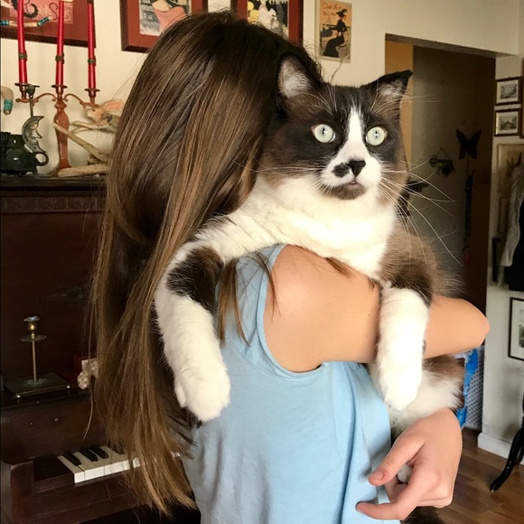 Meet your Posher, Cristina - Picture 2 of 16